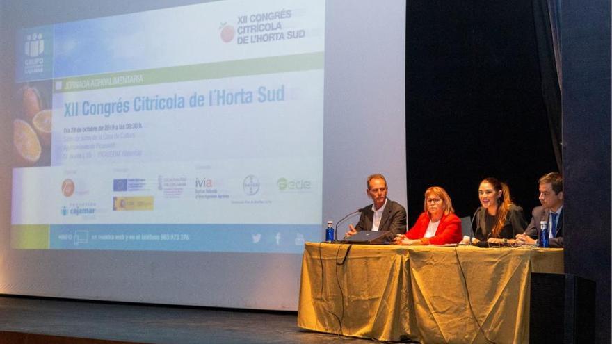 Picassent acoge la celebración del XII Congreso Citrícola de l&#039;Horta Sud