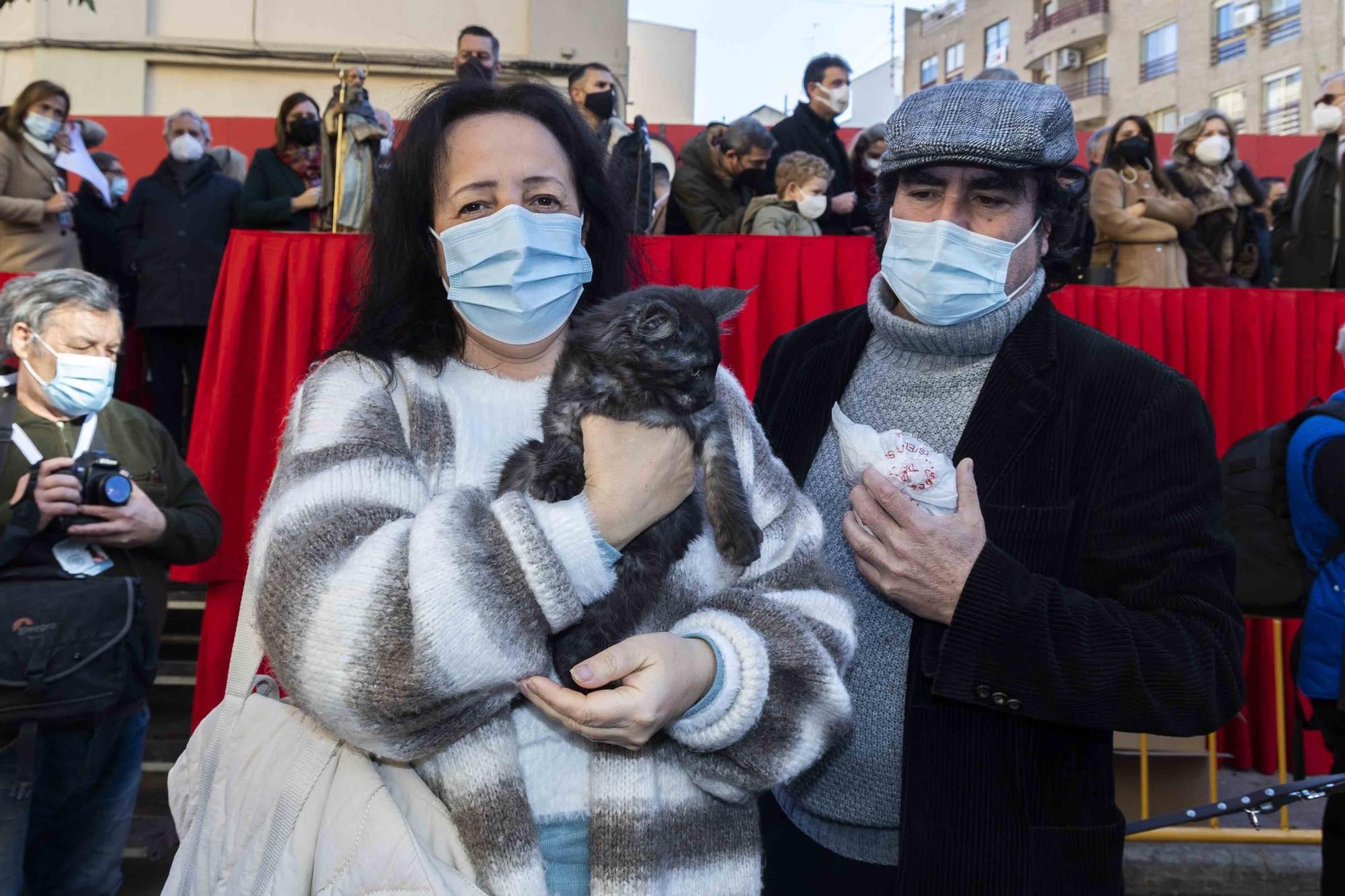 Búscate en la bendición de animales de Sant Antoni