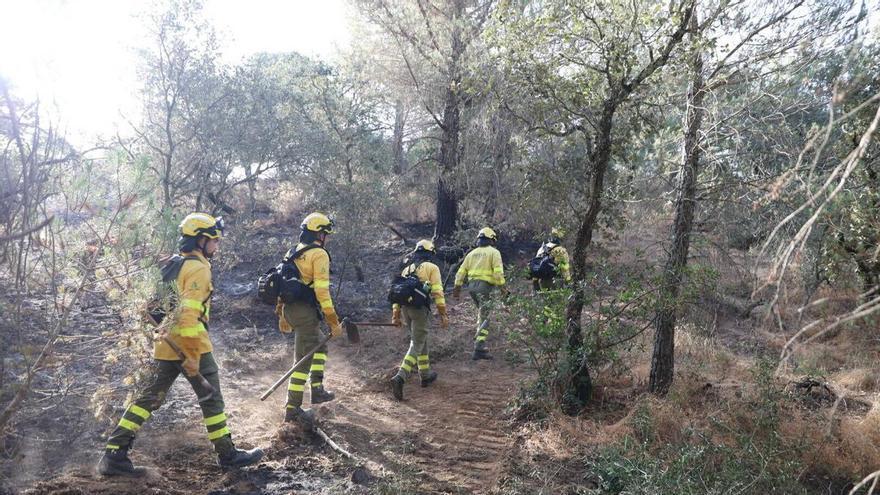 El Infoca remata el incendio junto a Las Jaras