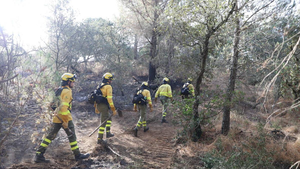 El Infoca trabaja en la extinción del incendio junto a Las Jaras, este jueves.