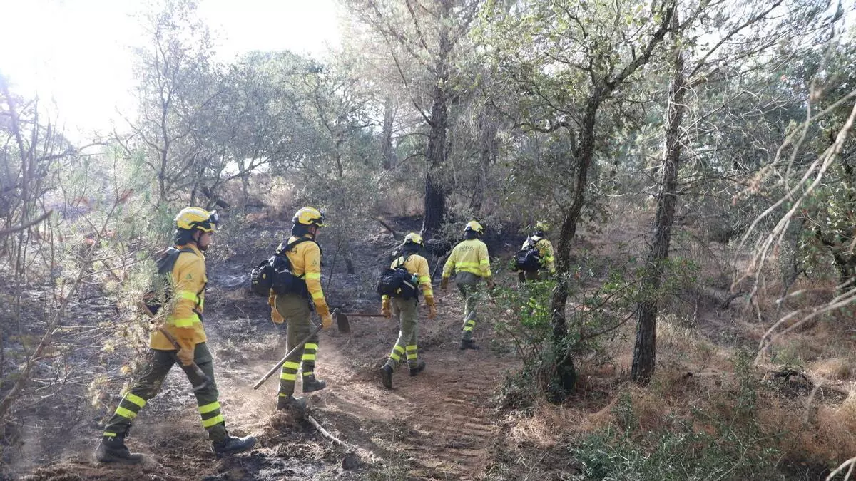 Córdoba pierde cuatro hectáreas de sierra en el primer incendio forestal del verano: "Por aquí hay cámaras y de ahí se sacará algo"