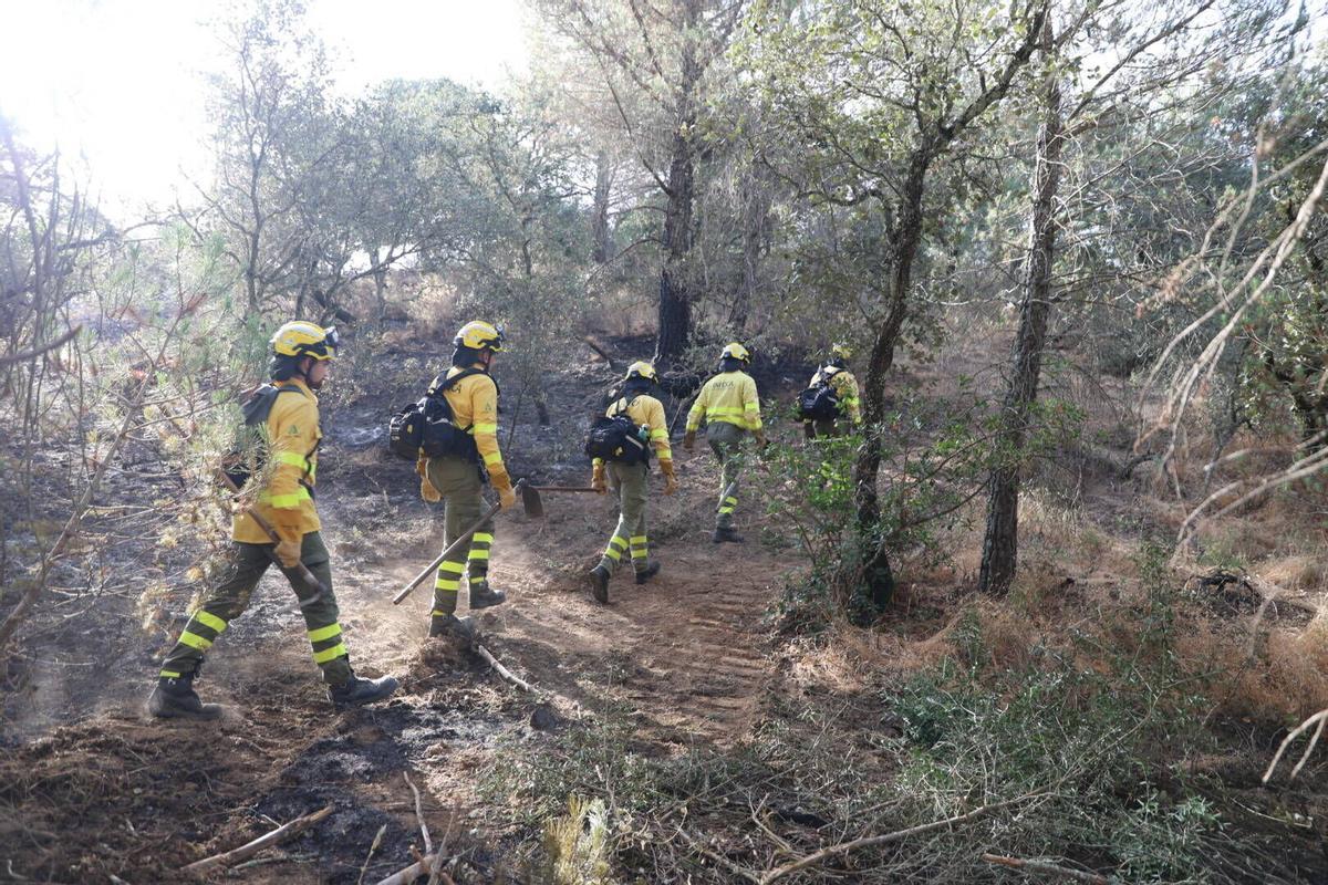 Incendio el chaparral - Las jaras , Córdoba, el día de después