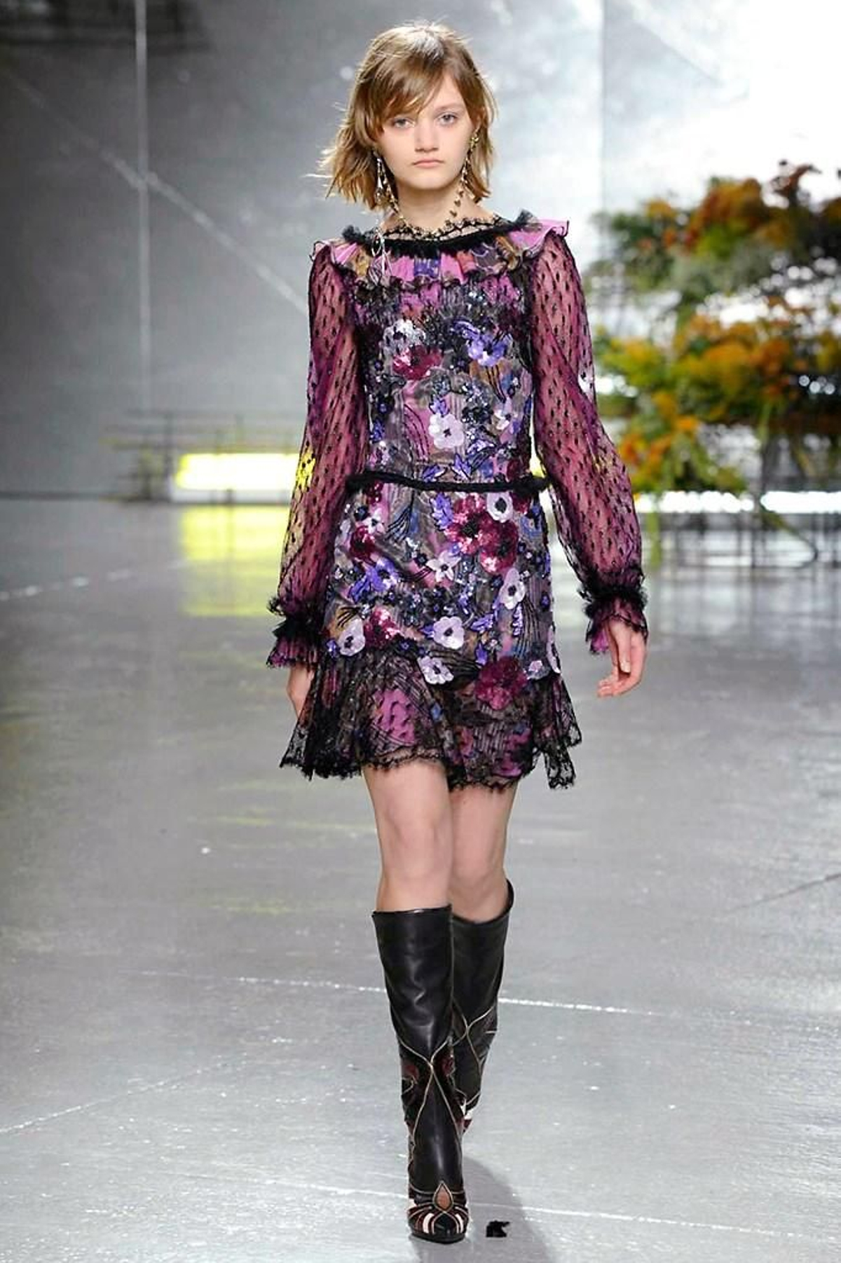 Rodarte