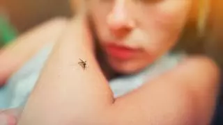 Si te pican los mosquitos esta es tu solución: muy barato