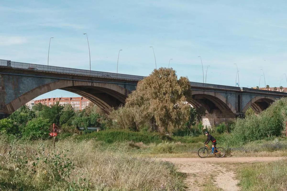 Vista del puente Fernández Casado de Mérida, donde tuvo lugar la intervención policial del pasado domingo.