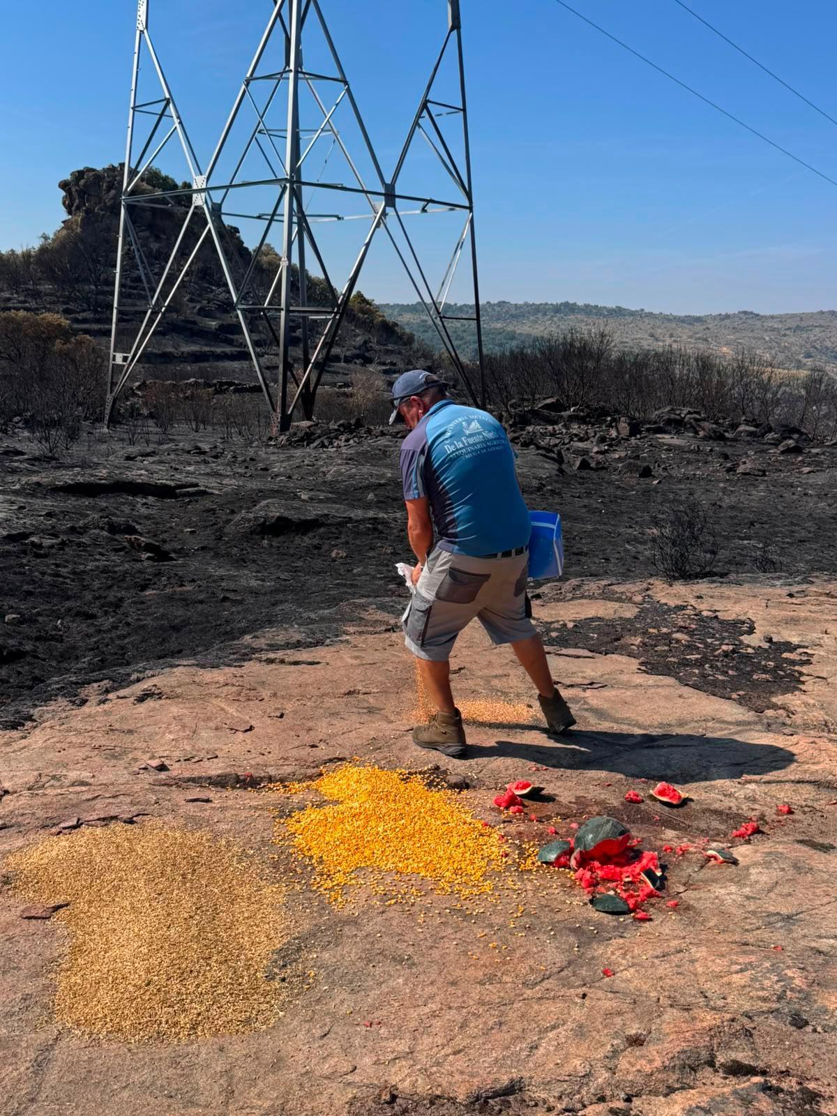 Cazadores esparcen alimentos para la fauna en Fermoselle