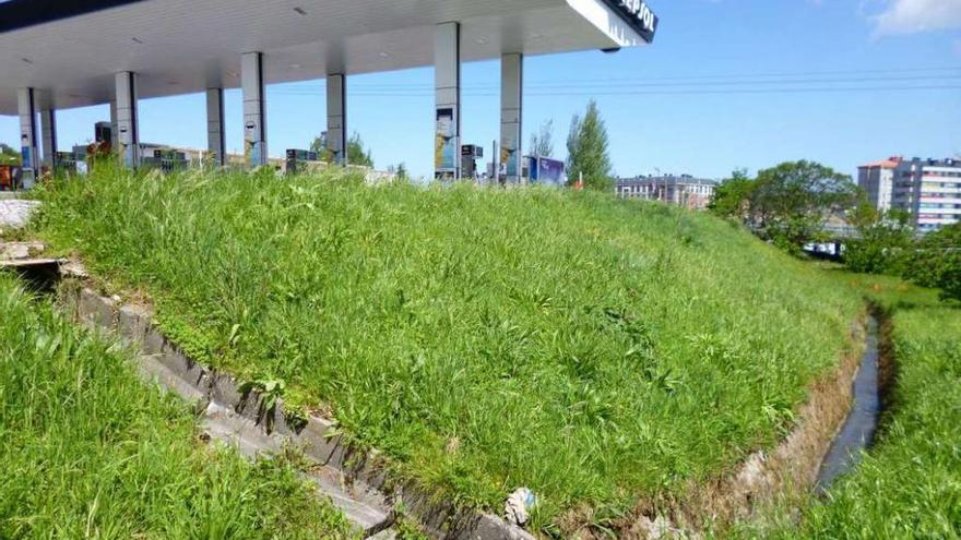 Terraplén donde se asienta la gasolinera de O Burgo, que será excavado al estar contaminado por hidrocarburo.