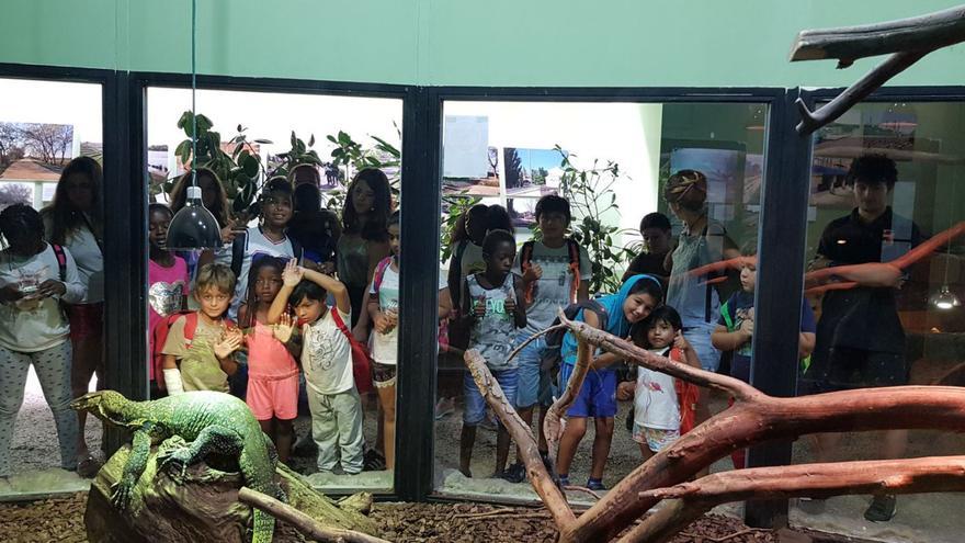 Algunos de los niños que participan en las colonias de la fundación de Amasol, durante una excursión. | FUNDACIÓN AMASOL