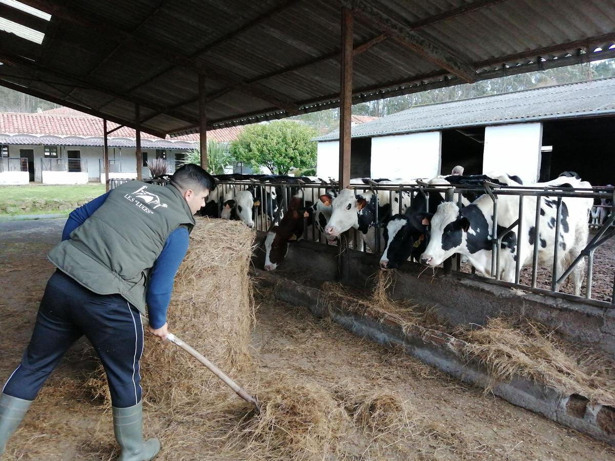 Un alumno del Instituto de Luces, con estudios agrarios, durante una clase, en una imagen de archivo.