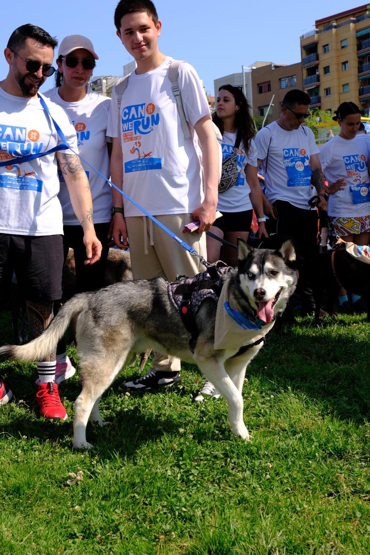Carrera Can We Run 2025