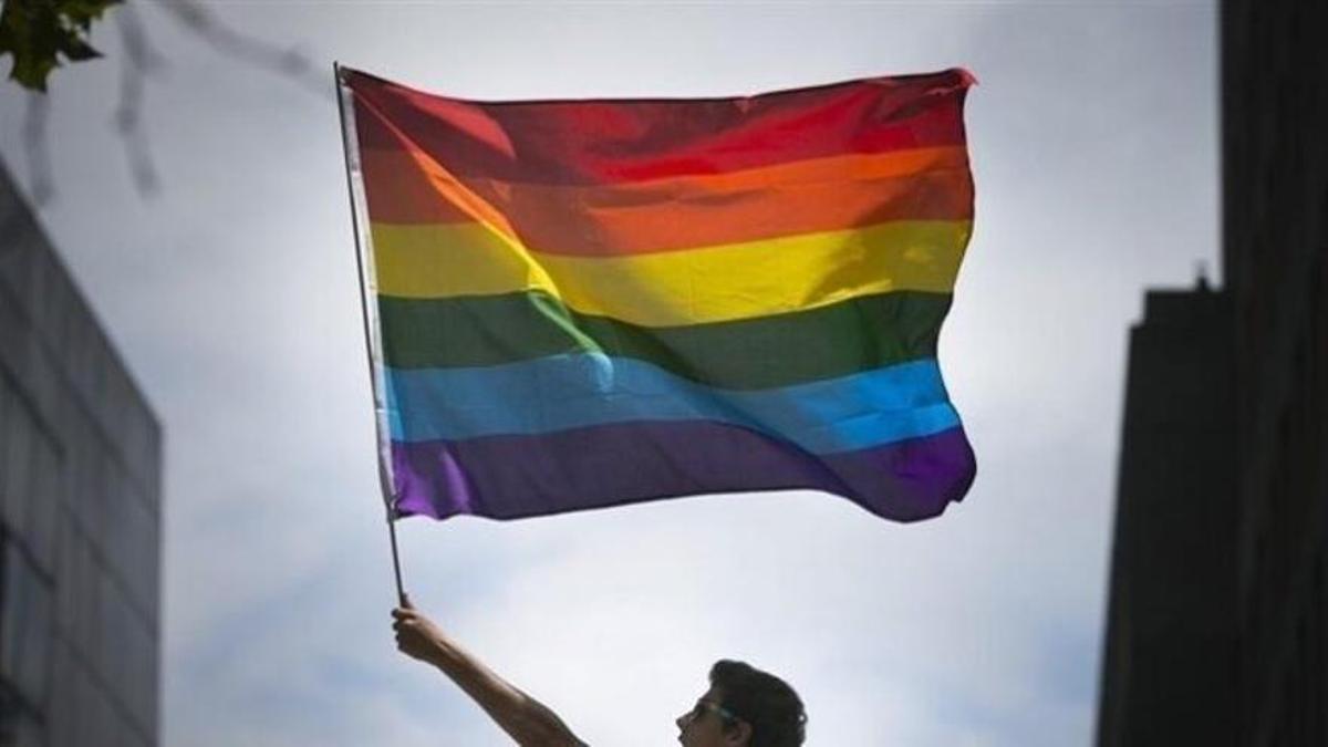 Jove portant la bandera de l'Orgull LGTBI.