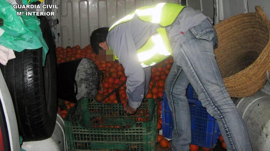 Los agentes inspeccionan la furgoneta en la que transportaban la fruta robada.