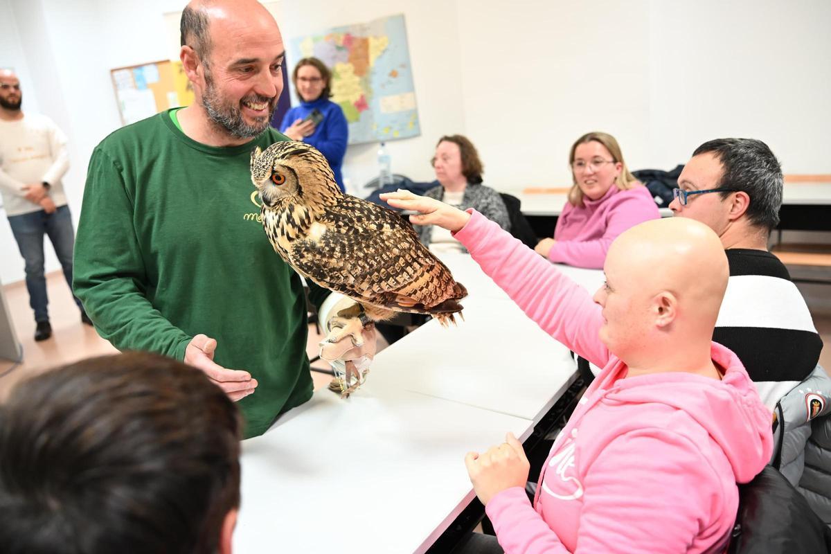 Terapia con aves rapaces para personas con diversidad funcional