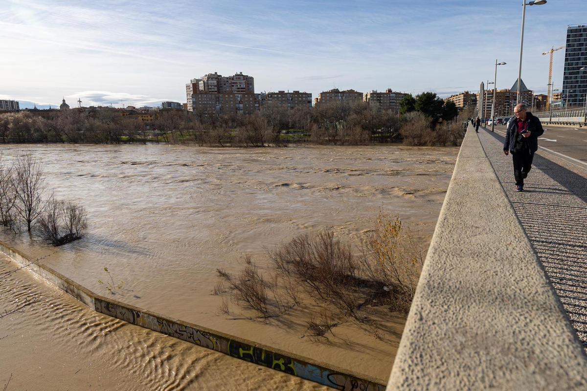 En imágenes I Así está el río Ebro a su paso por Zaragoza este lunes