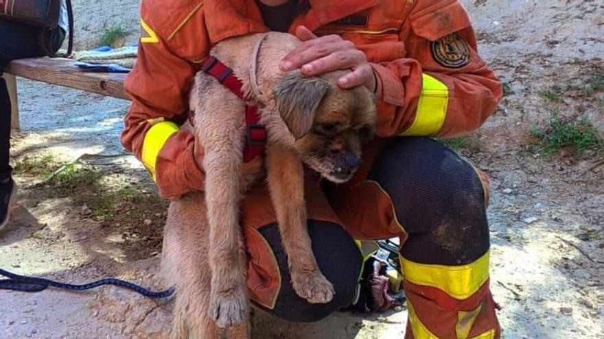 Una bombera amb el gosset que va rescatar