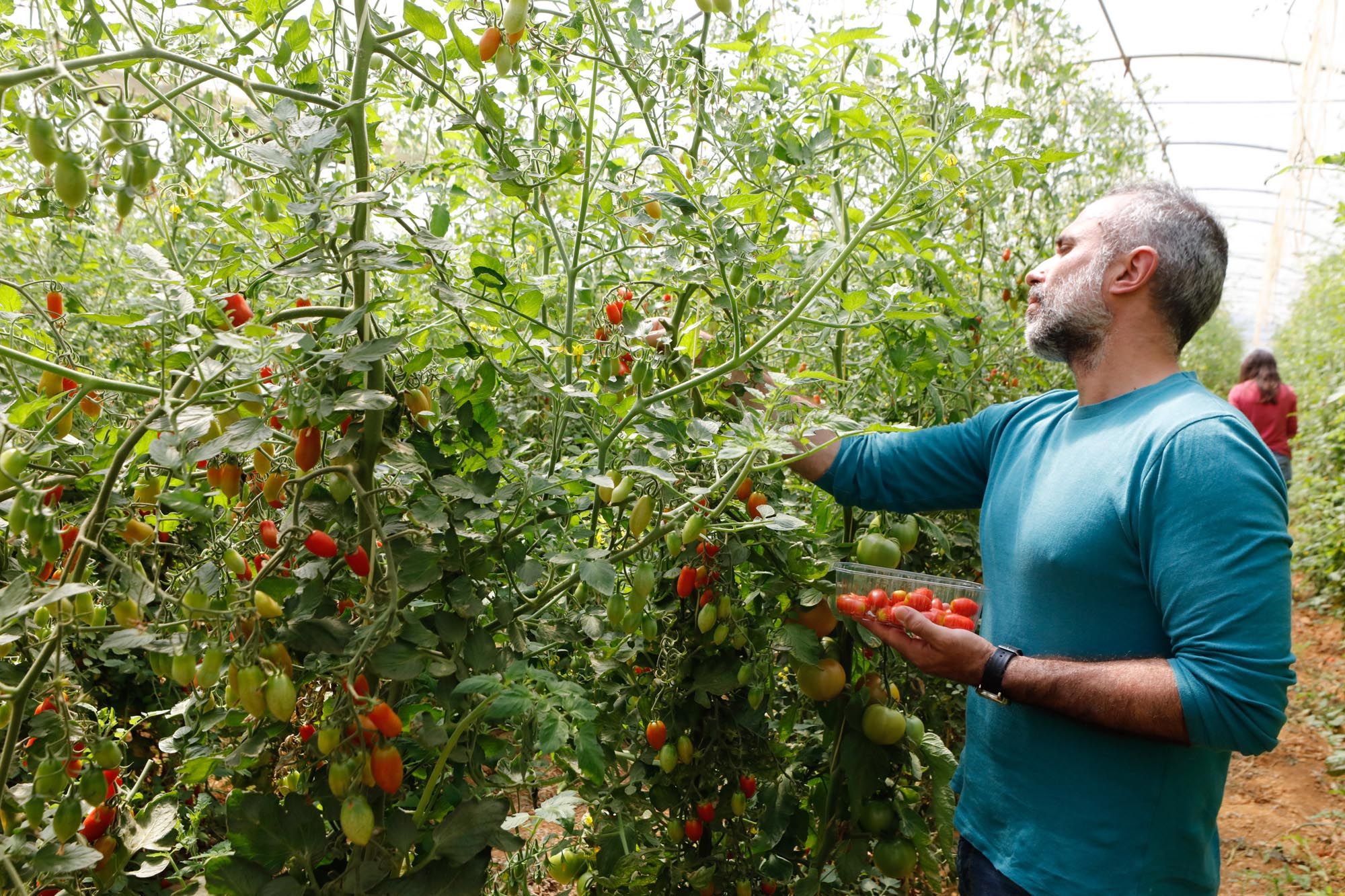 Visita guiada a la finca hortícola de Can Pol en Ibiza