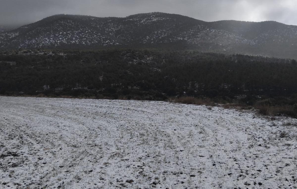 La nieve ha vuelto a hacer acto de presencia sobre las zonas de mayor altitud de la Región