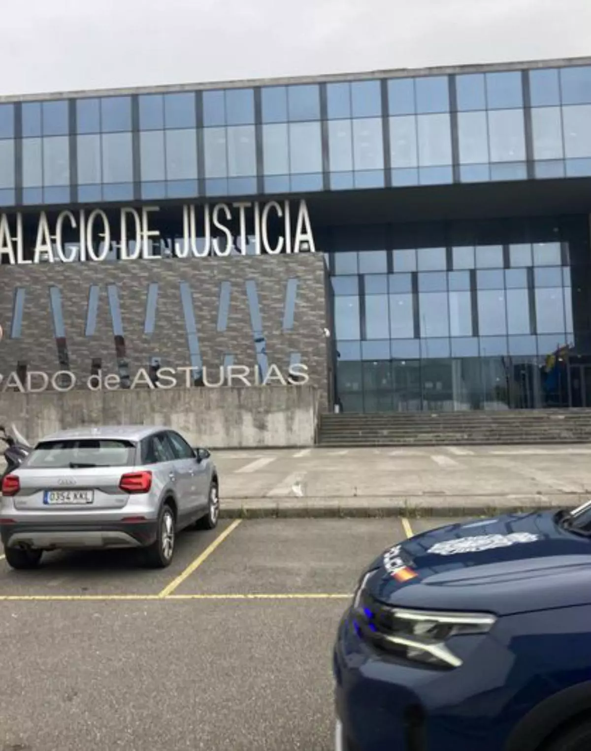 Detenido un vecino de Gijón de 37 años por pegar una brutal paliza a su madre por no darle dinero