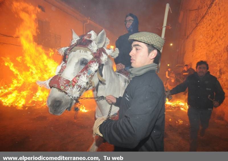 GALERÍA DE FOTOS - Fuego y demonios por Sant Antoni