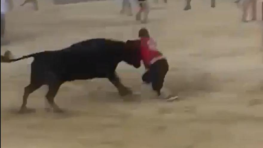 Cogida en las fiestas del Port de Sagunt