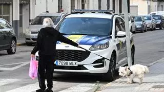 La campaña de PP y Vox contra los orines de perro en Elche divide: "Me increpan por no bajarlo a la calzada y tengo miedo a multas"
