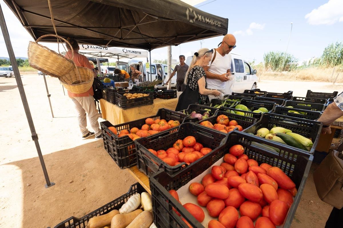 Las imágenes del mercado de sa cooperativa de Sant Antoni