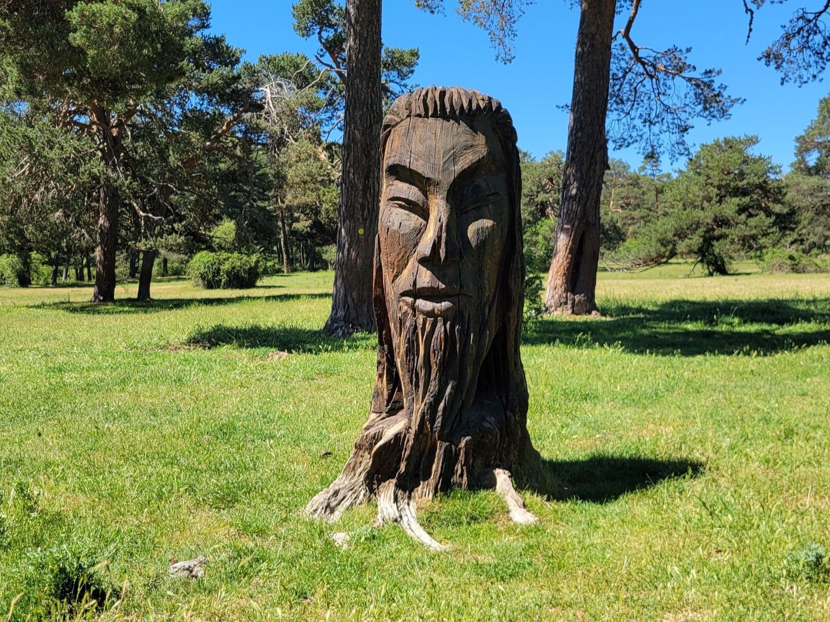 El indio flanquea la entrada a la senda