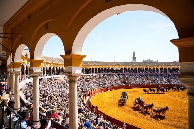 Las mejores imágenes de la exhibición de enganches de la Maestranza