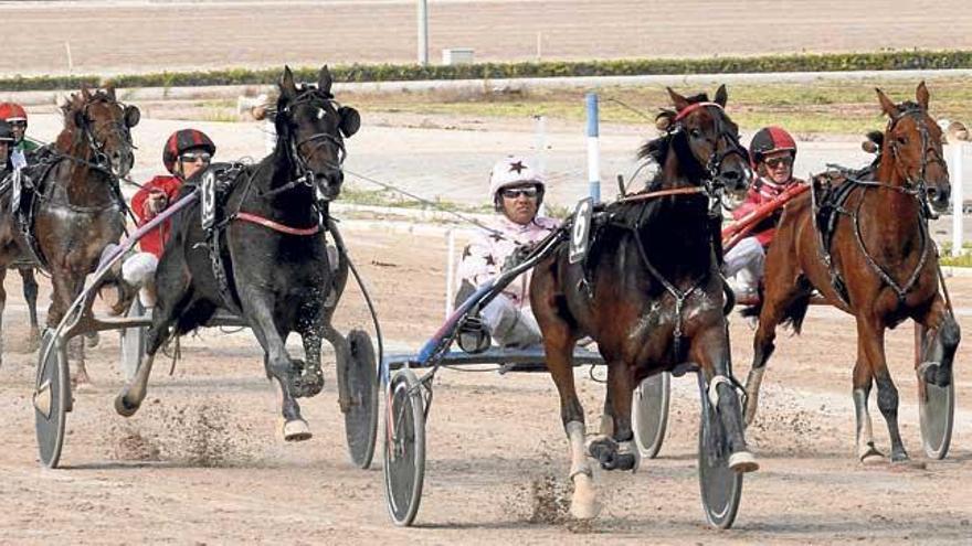 Swedishman, con Thierry Duvaldestin, aparece en la recta de meta por delante de Soléa Rivellière (13) y Sierra Léone.