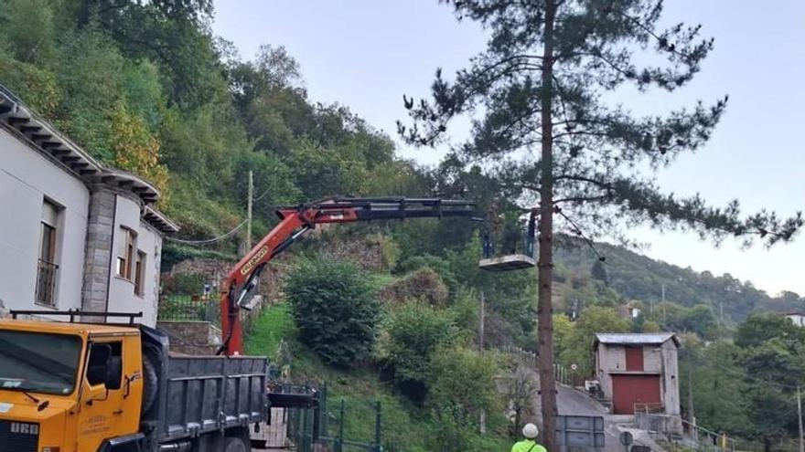 Hidrográfica actúa en la limpieza del arroyo de La Camperona