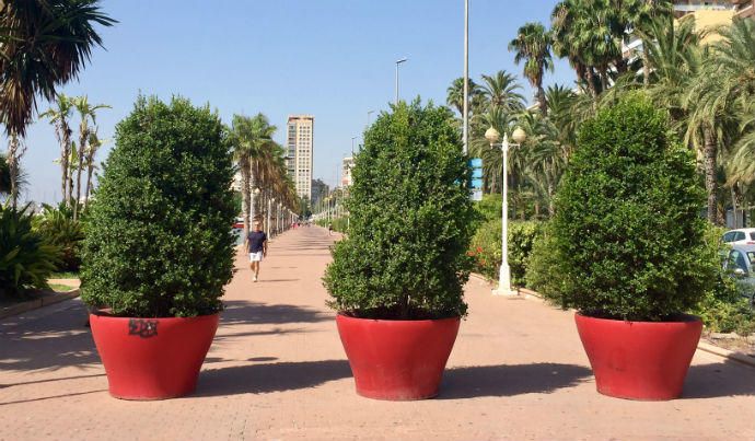 La Concejalía de Seguridad ordena instalar más barreras físicas para evitar posibles ataques terroristas tras el atentado en Barcelona