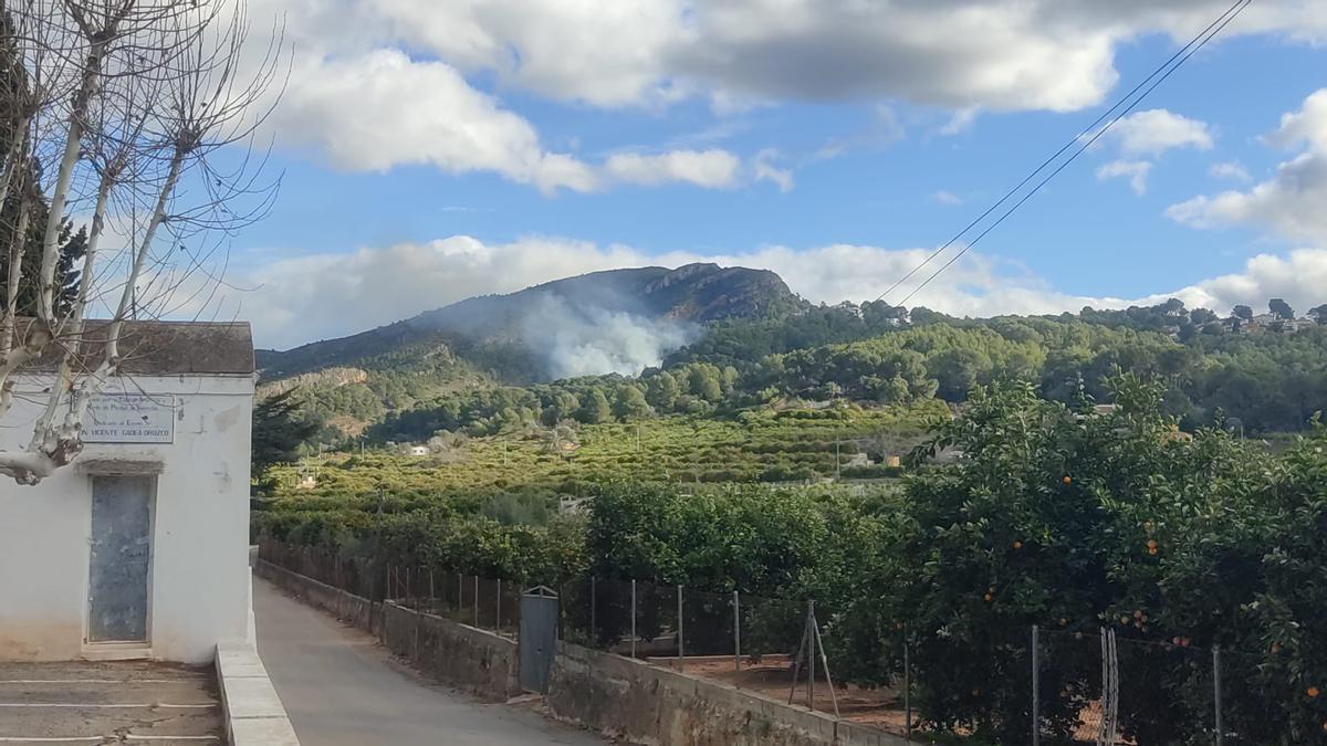 Un incendio forestal en Alzira amenza la Murta y dos centenares de viviendas