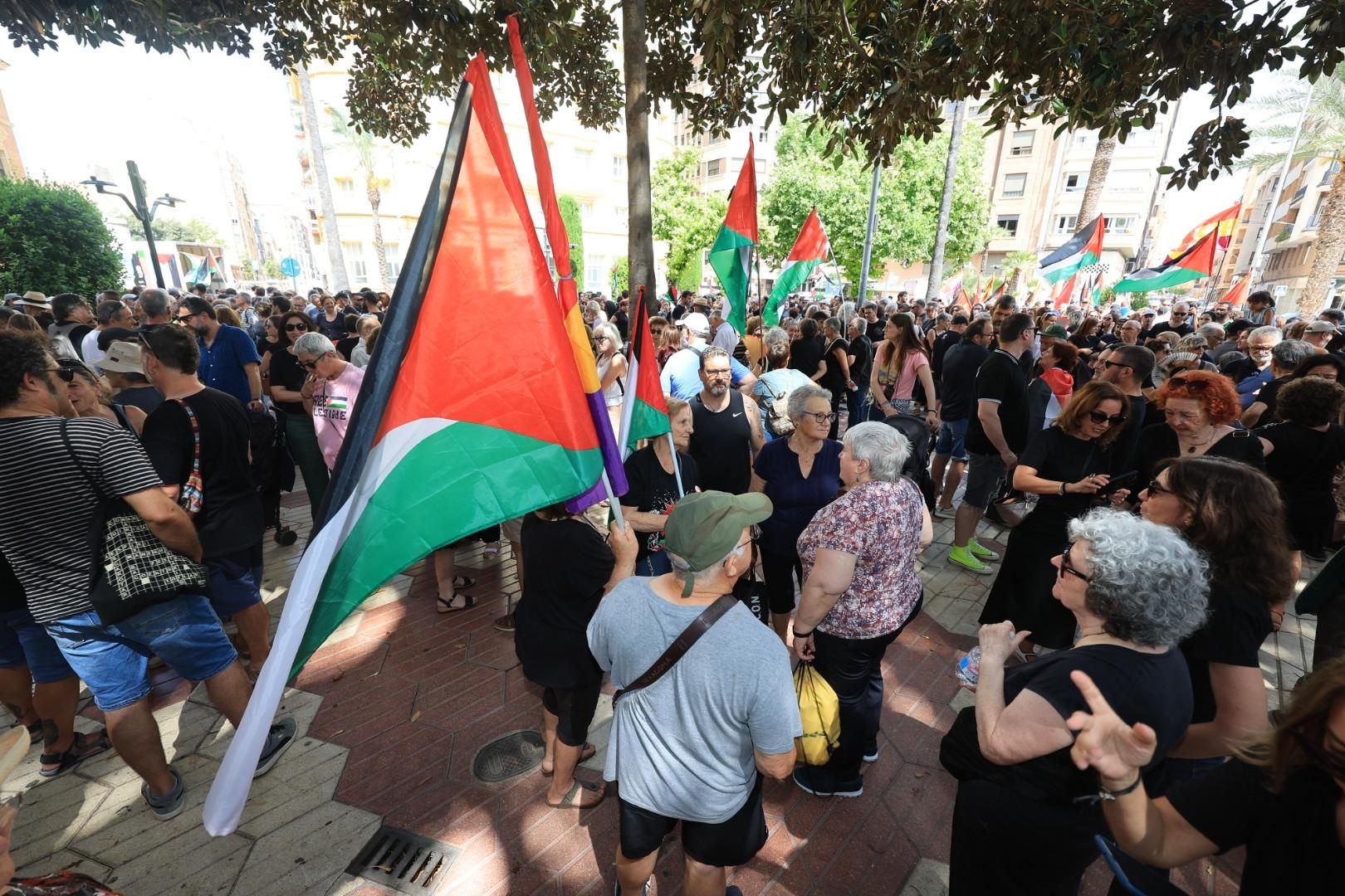 Manifestación a favor del pueblo palestino y la paz en Castellón