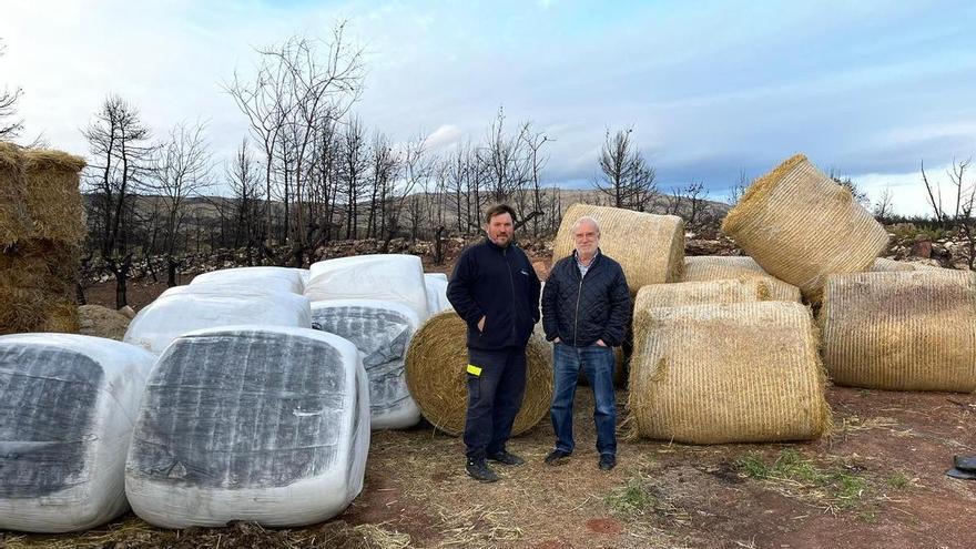 Toneladas de paja de arroz de l&#039;Albufera para ganaderos afectados por incendios en Castellón