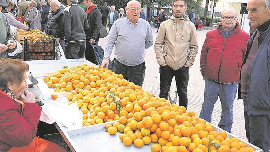 Castelló activará un plan con seis nuevas medidas agrícolas para recuperar el sector