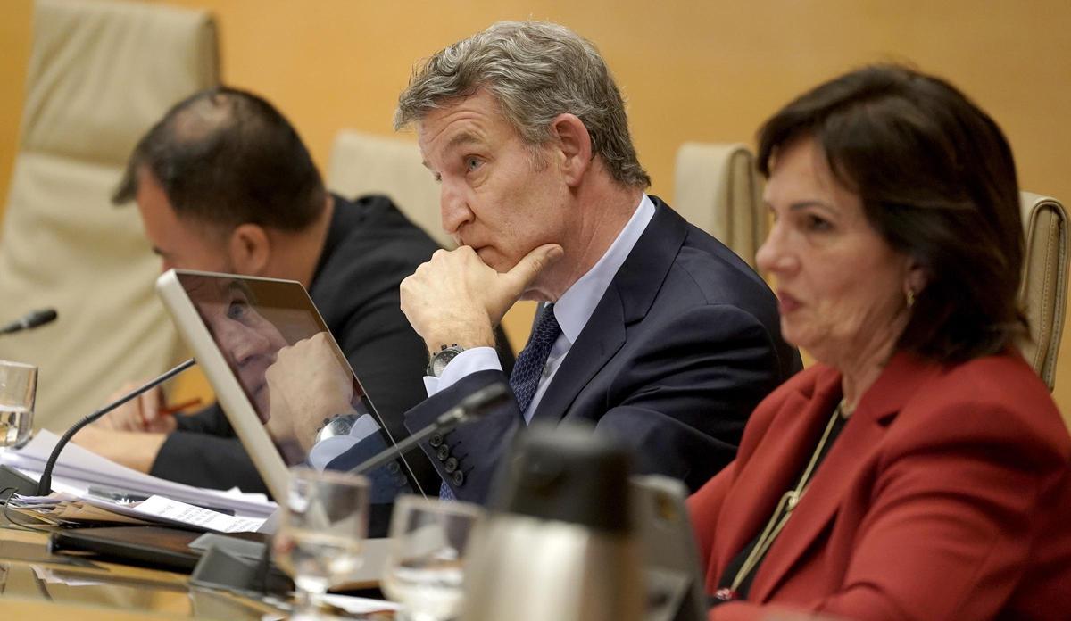 Alberto Núñez Feijóo, durante su comparecencia en la comisión de investigación de la Dana en Valencia