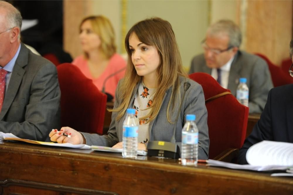 Pleno de Ayuntamiento de Murcia