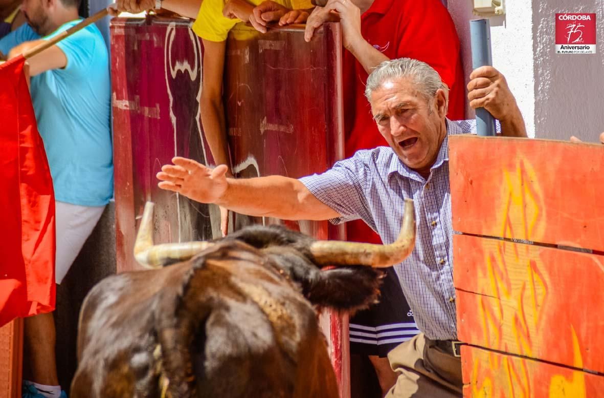 FOTOGALERÍA/ Vaquillas en El Viso