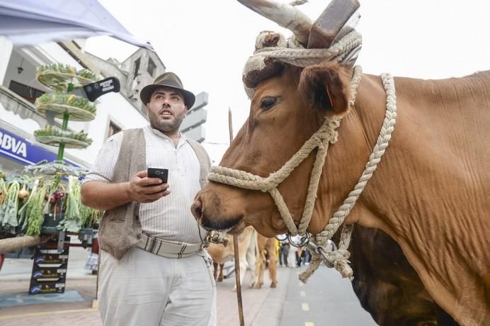 ROMERIA DE GALDAR