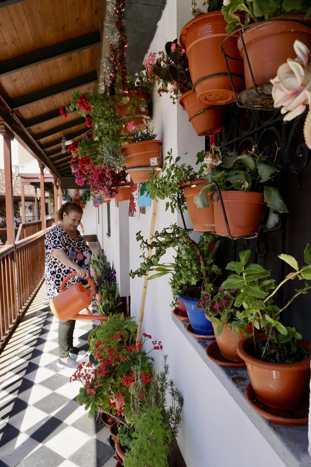La Trinidad y El Perchel celebran la XIX Semana Popular de los Corralones