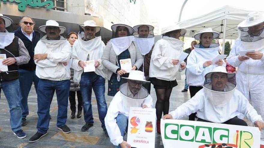 Los apicultores se concentraron ayer en la avenida Libertad de Murcia, convocados por COAG.