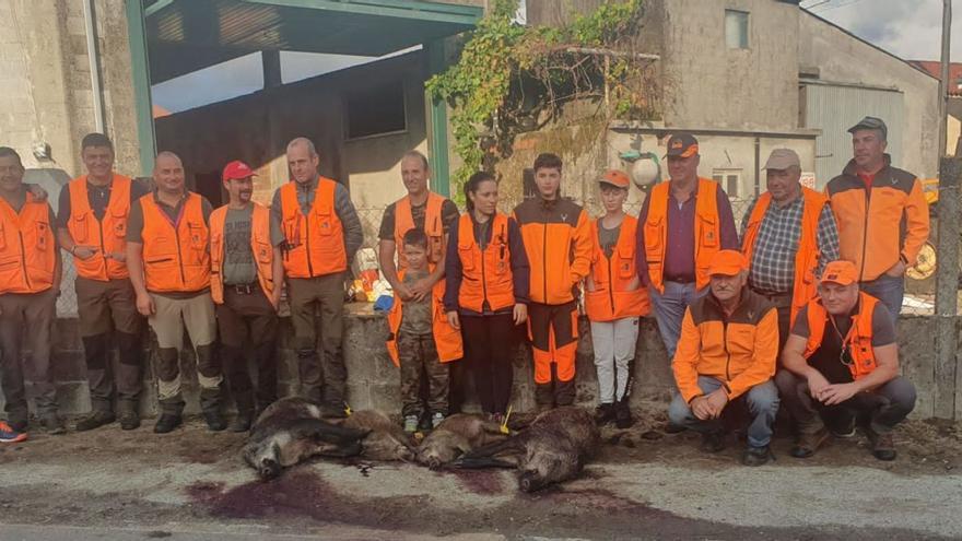 El jabalí merma una cosecha de maíz muy castigada ya por la sequía y las tormentas