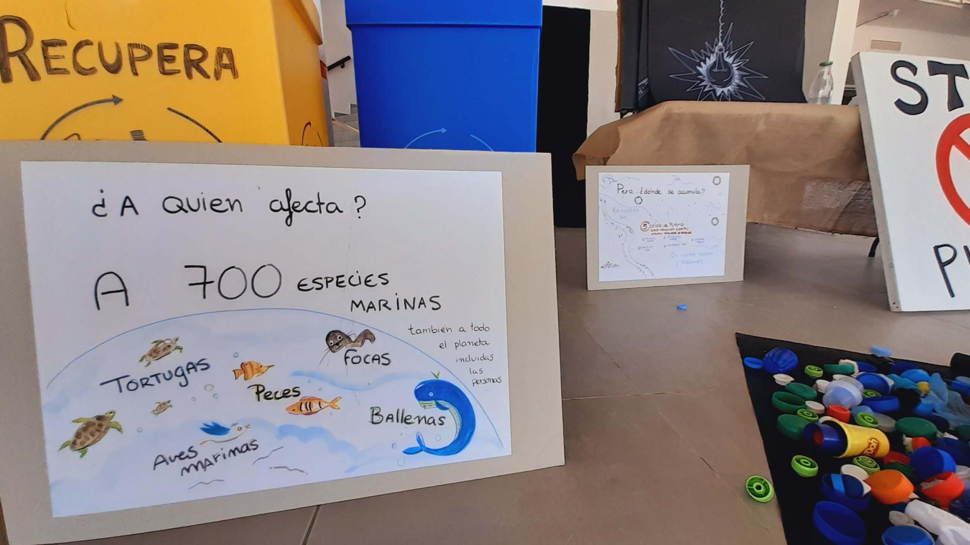 Pequeños maestros del reciclaje en Ibiza