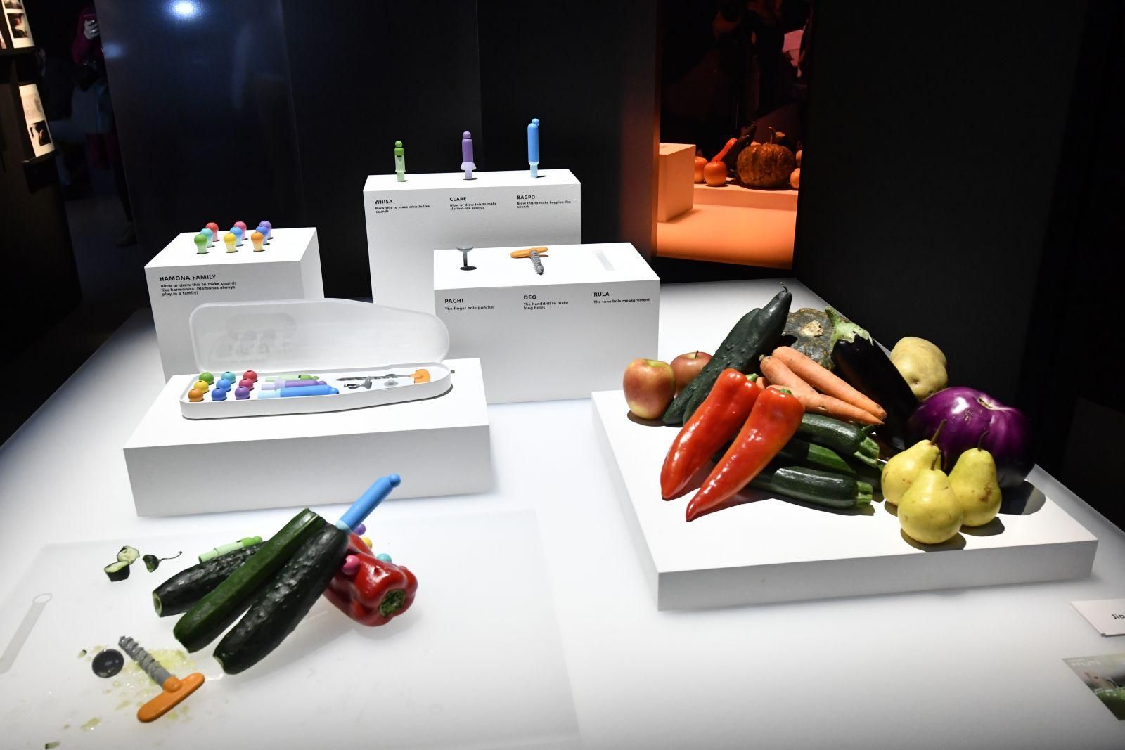 Lexus Design Awards, trabajo finalista