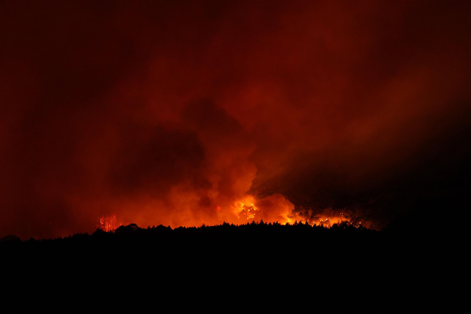 L'incendi forestal de Tenerife, en imatges