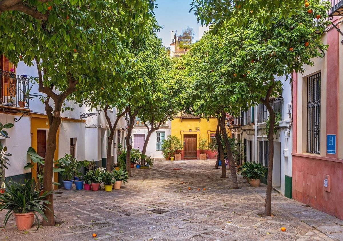 Calle andaluza con naranjos