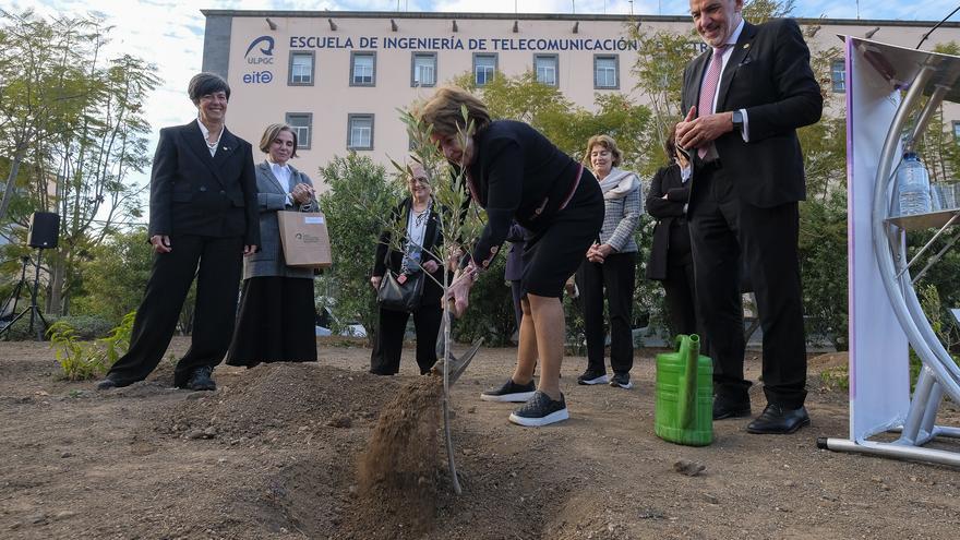 Plantación de 11 árboles por las 11 Doctoras &#039;Honoris Causa&#039; de la ULPGC