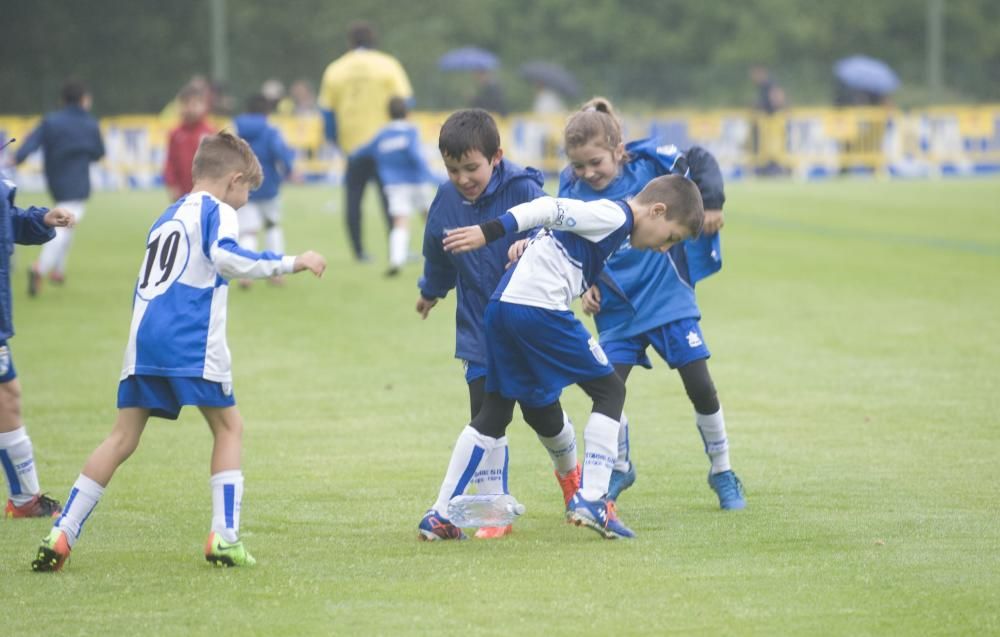 La ciudad deportiva recibe a 206 equipos de 81 clubes - 94 compiten en categoría prebenjamín y 112 en benjamín