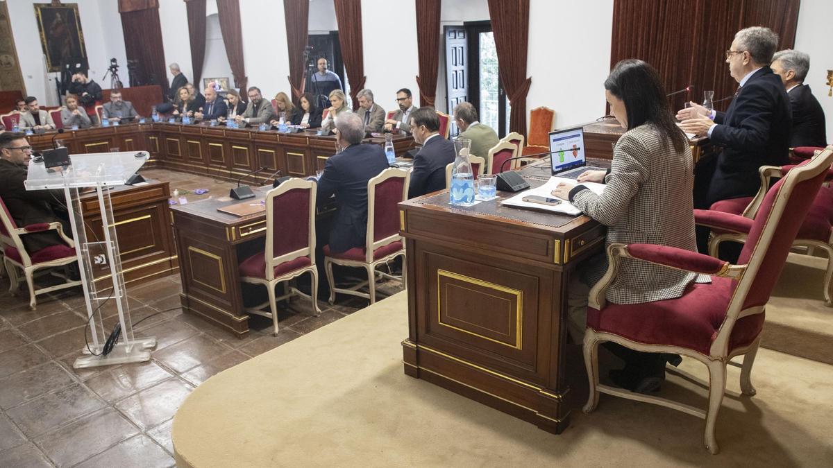 Pleno extraordinario de la Diputación.