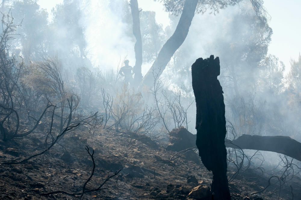 El fuego se inició a última hora de ayer miércoles y ha estado activo toda la noche.